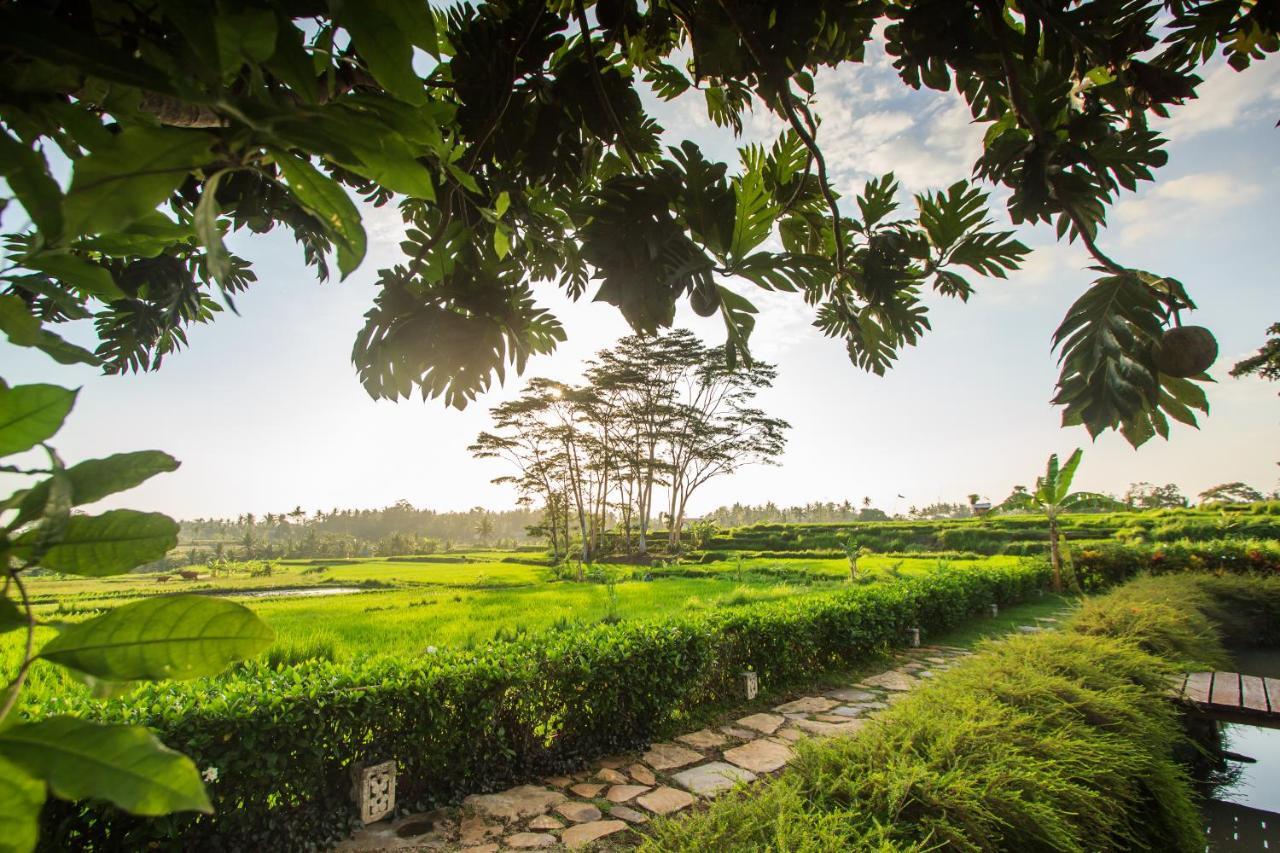 Griya Kcb Villa Ubud Mas  Εξωτερικό φωτογραφία