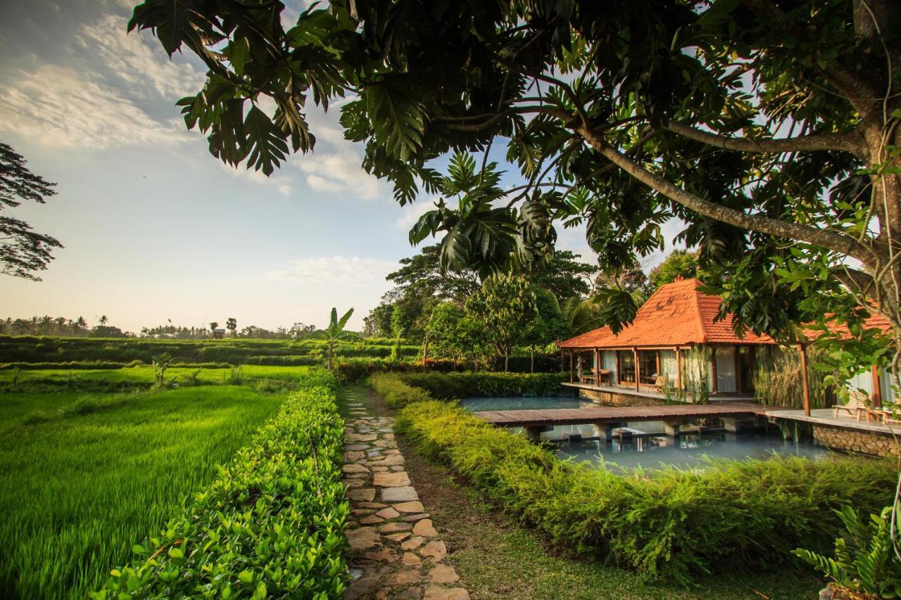 Griya Kcb Villa Ubud Mas  Εξωτερικό φωτογραφία